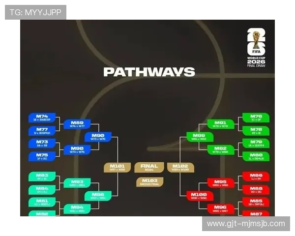 2026年世界杯晋级球队名单全解,关注各大洲晋级情况及未来比赛的关键看点