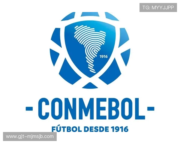 全面解读世界杯南美洲区预选赛积分规则中的特殊情况处理与争议解决机制